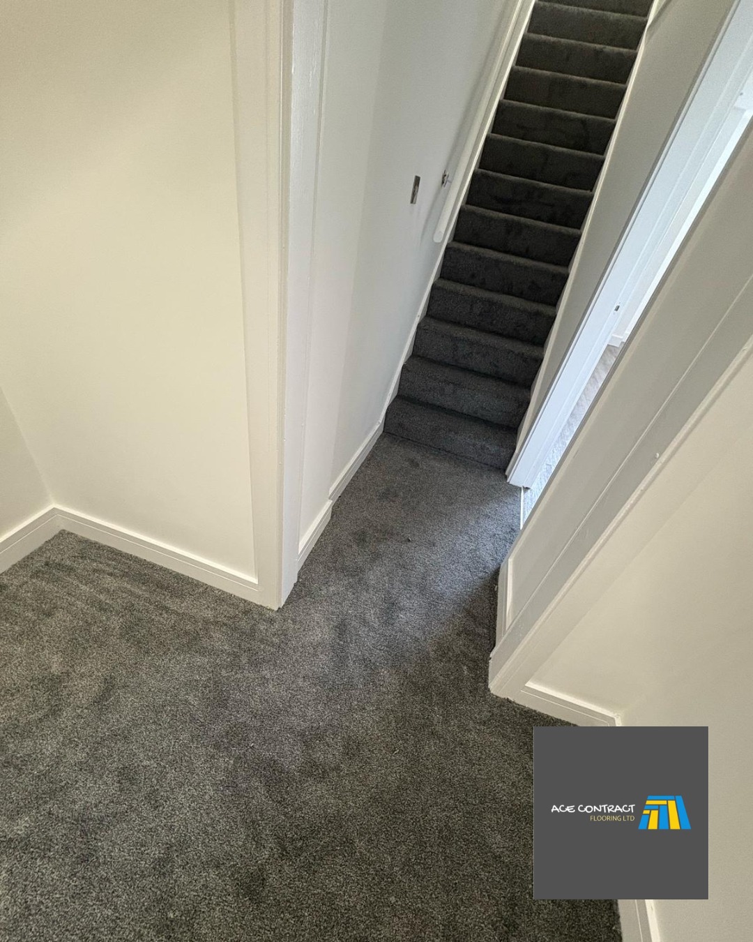 grey carpet 2